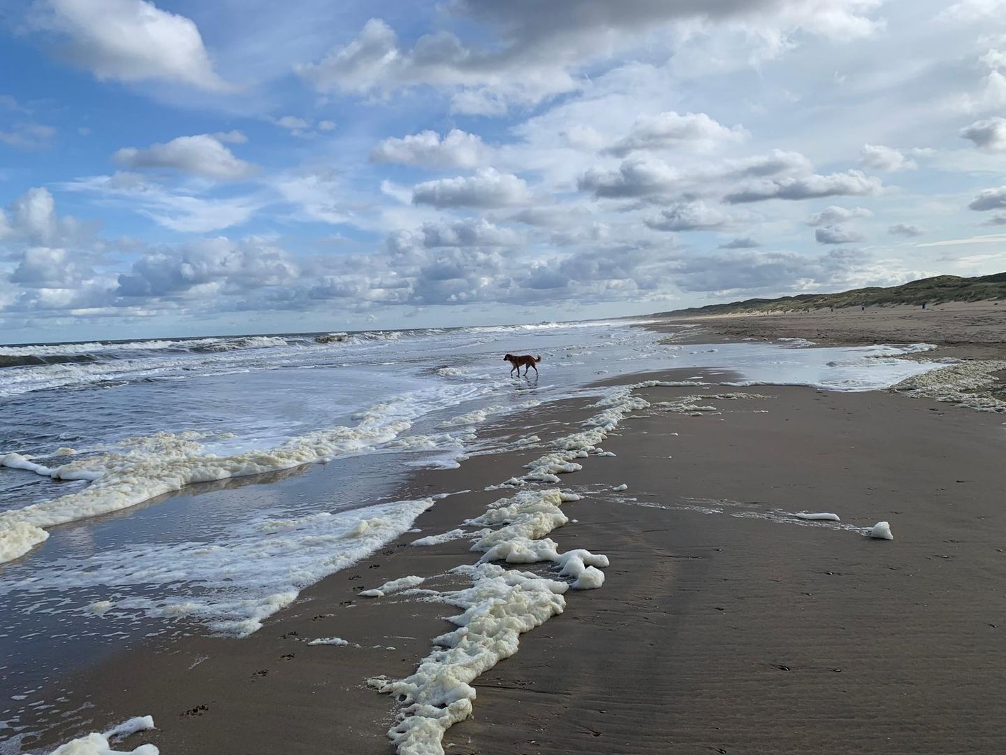 Foto 50 van Stevinstraat 265