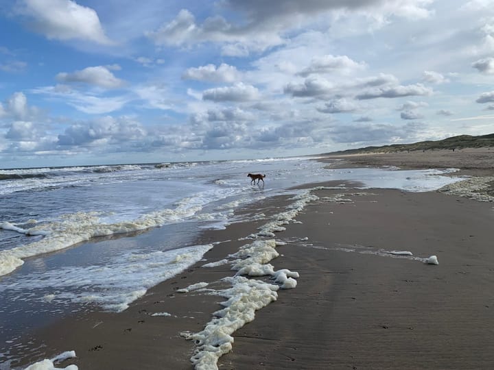 Foto 50 van Stevinstraat 265