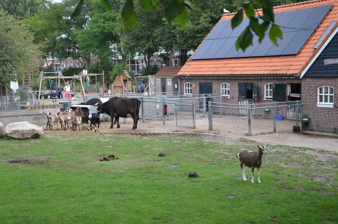 Foto 52 van Stevinstraat 265