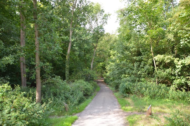 Foto 54 van Stevinstraat 265