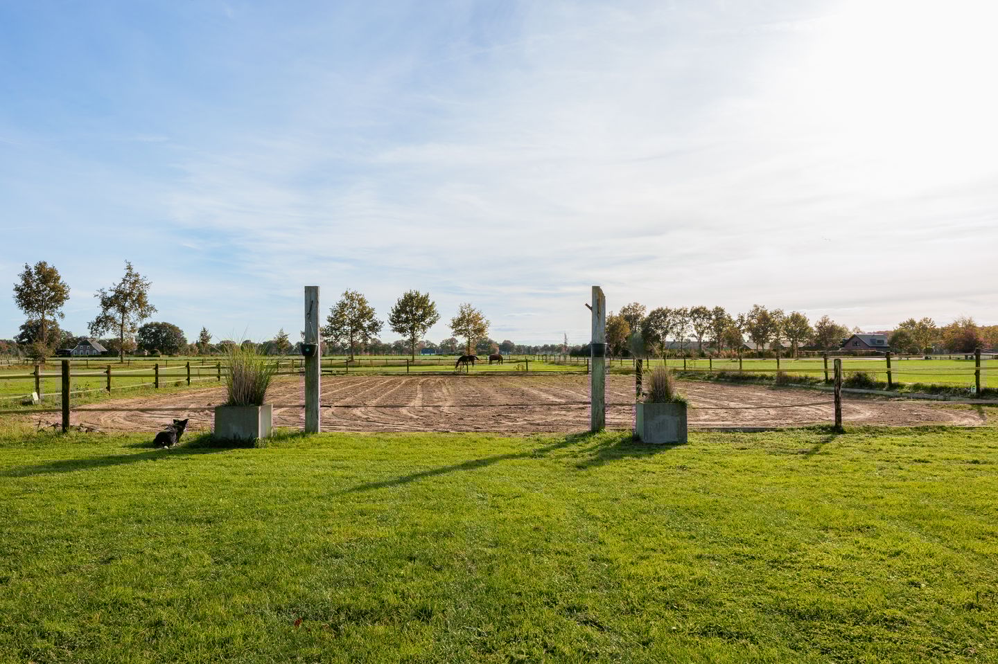 Photo 50 of Wijheseweg 44