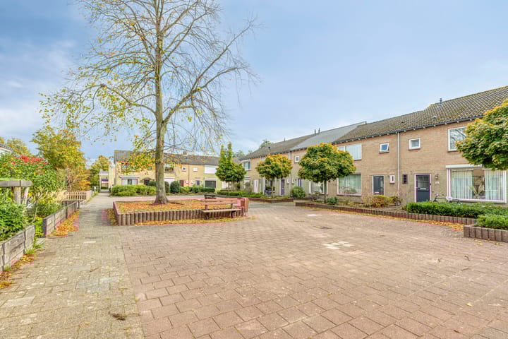 Photo 27 of Jacob Obrechtpark 19