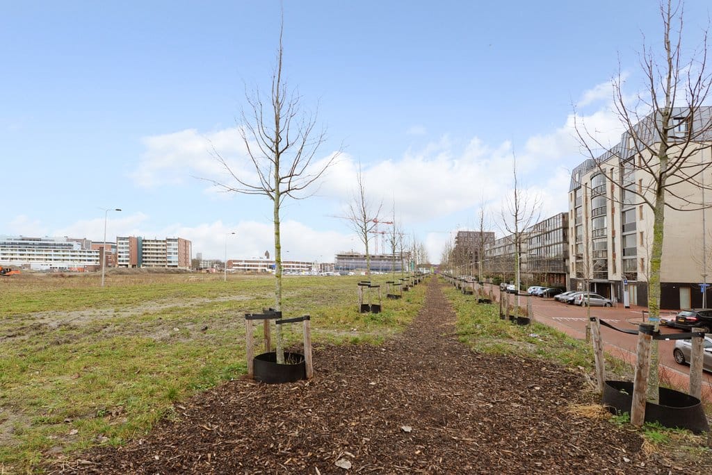 Photo 34 of Laan van Braat 32