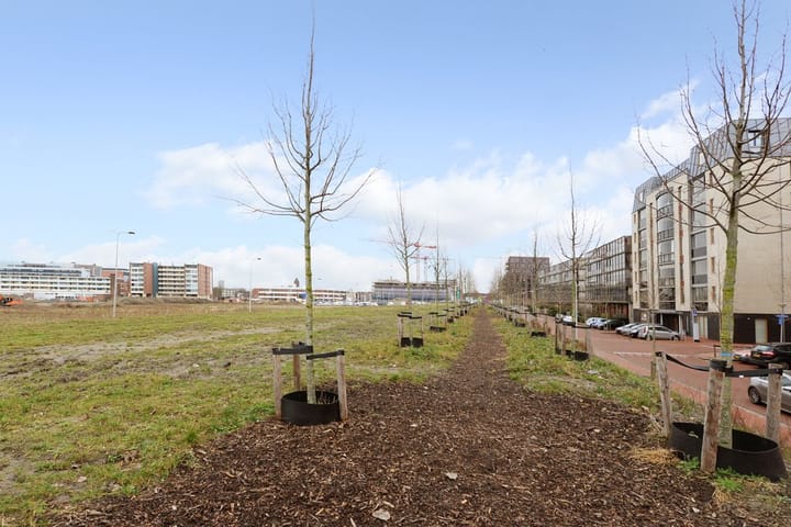 Foto 34 van Laan van Braat 32