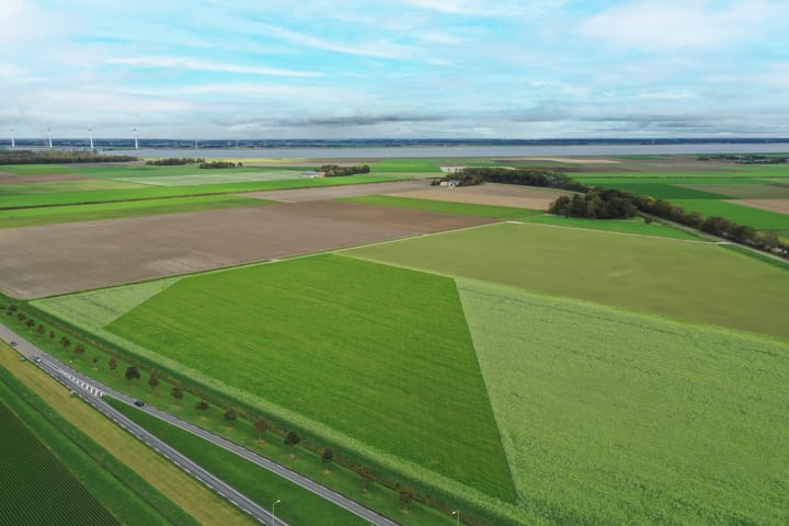 Foto 38 van Het Zichtbord 4