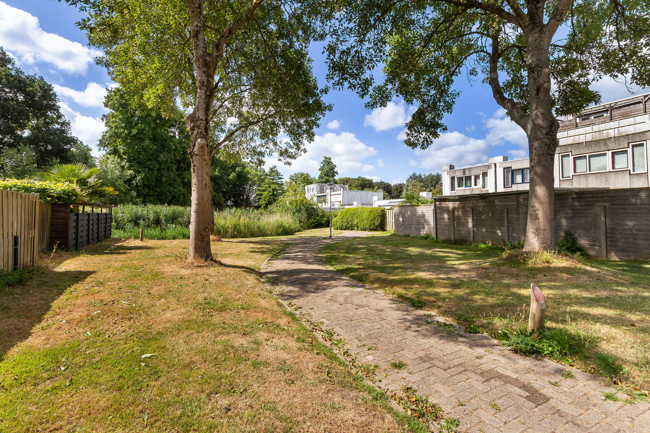 Photo 30 of Mildenburg 57