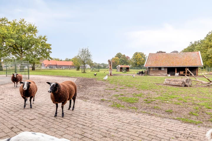 Foto 39 van Het Klavier 16