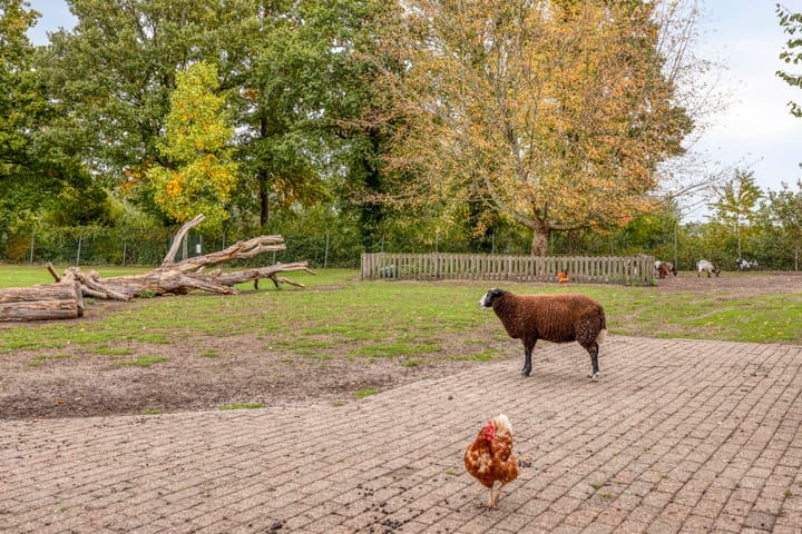 Foto 40 van Het Klavier 16