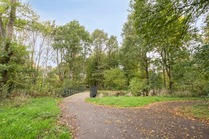 Foto 25 van Pieter de Hooghstraat 35-B