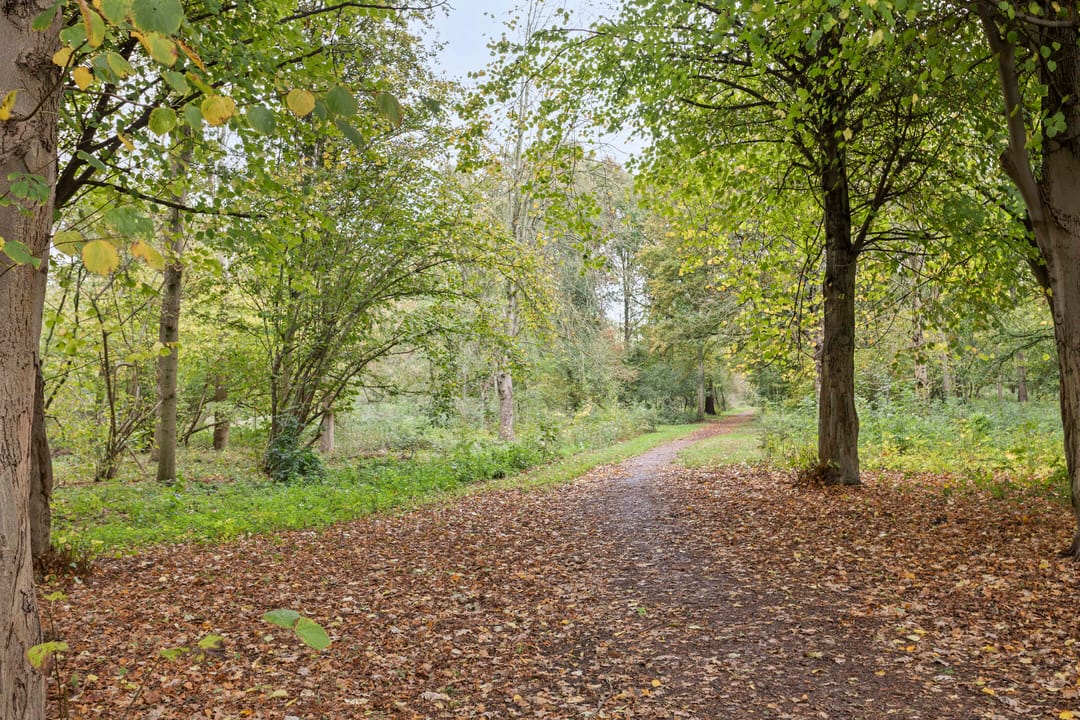 Photo 26 of Pieter de Hooghstraat 35-B