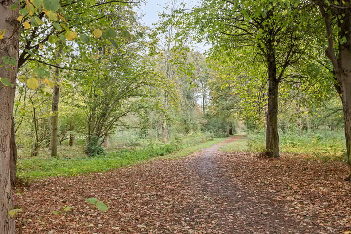 Foto 26 van Pieter de Hooghstraat 35-B