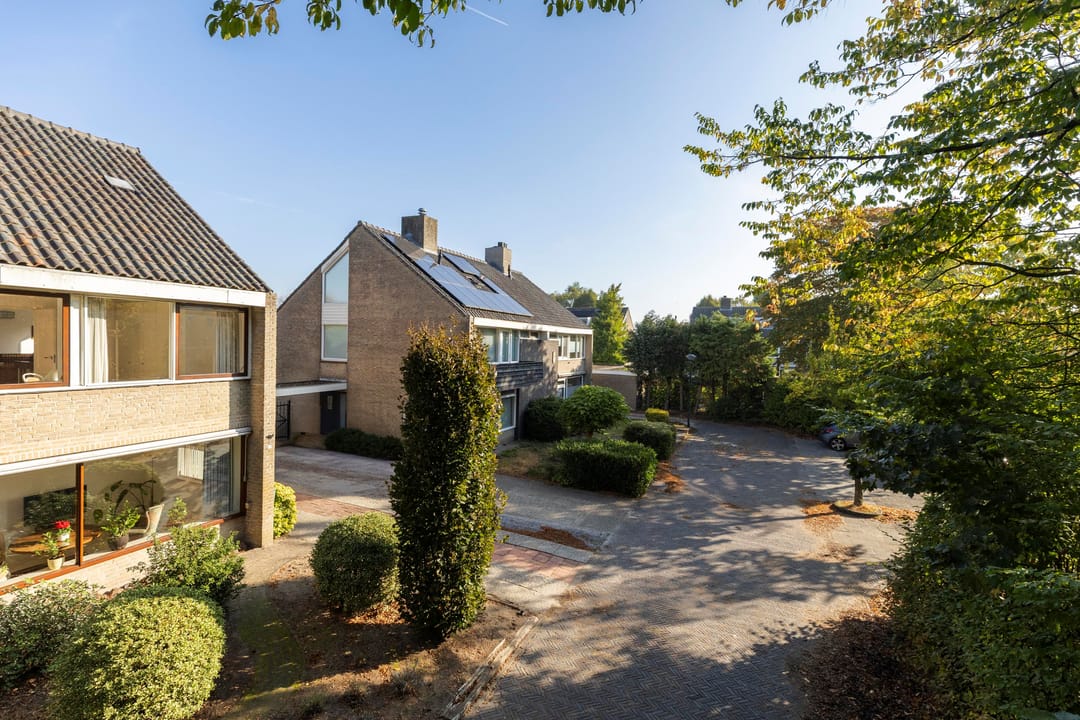 Foto 2 van Scheldelaan 22