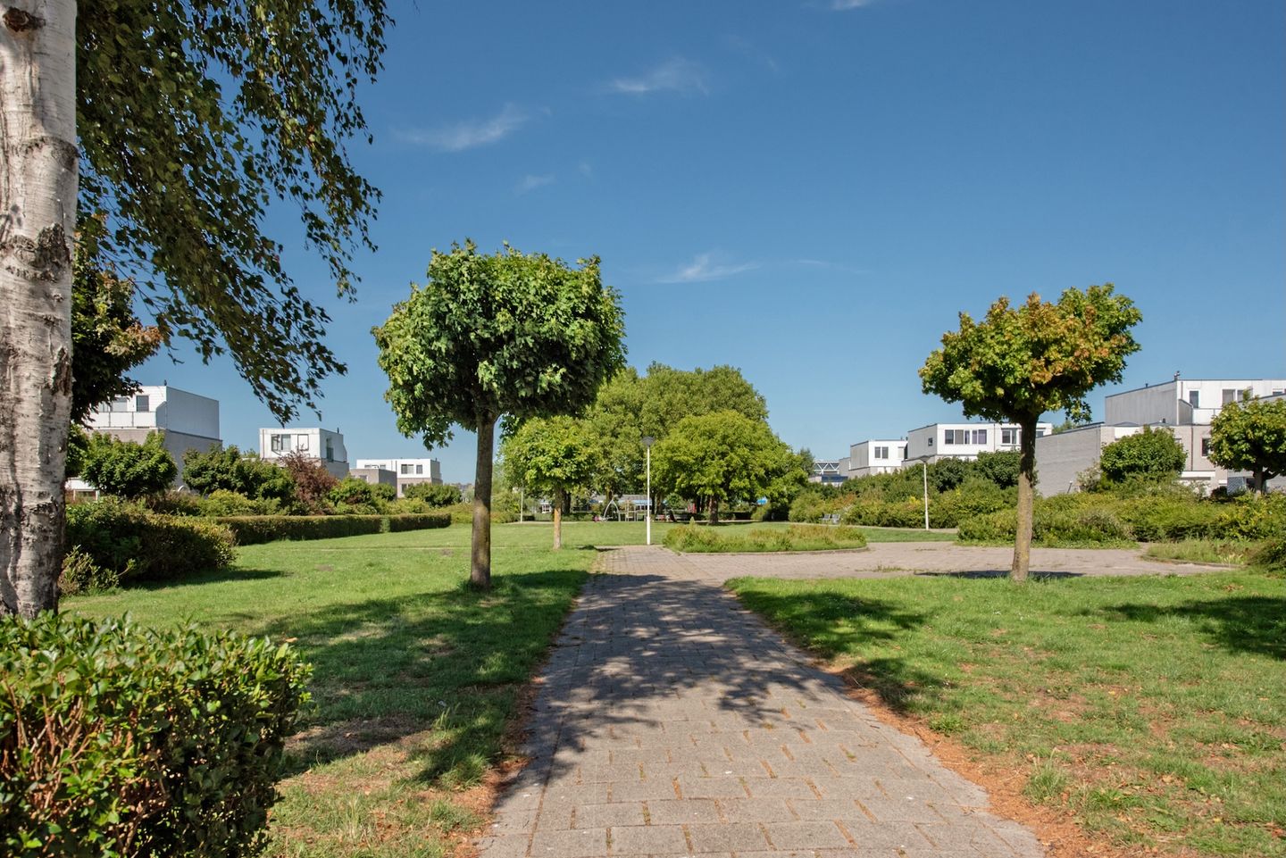 Foto 34 van Indigoblauw 49