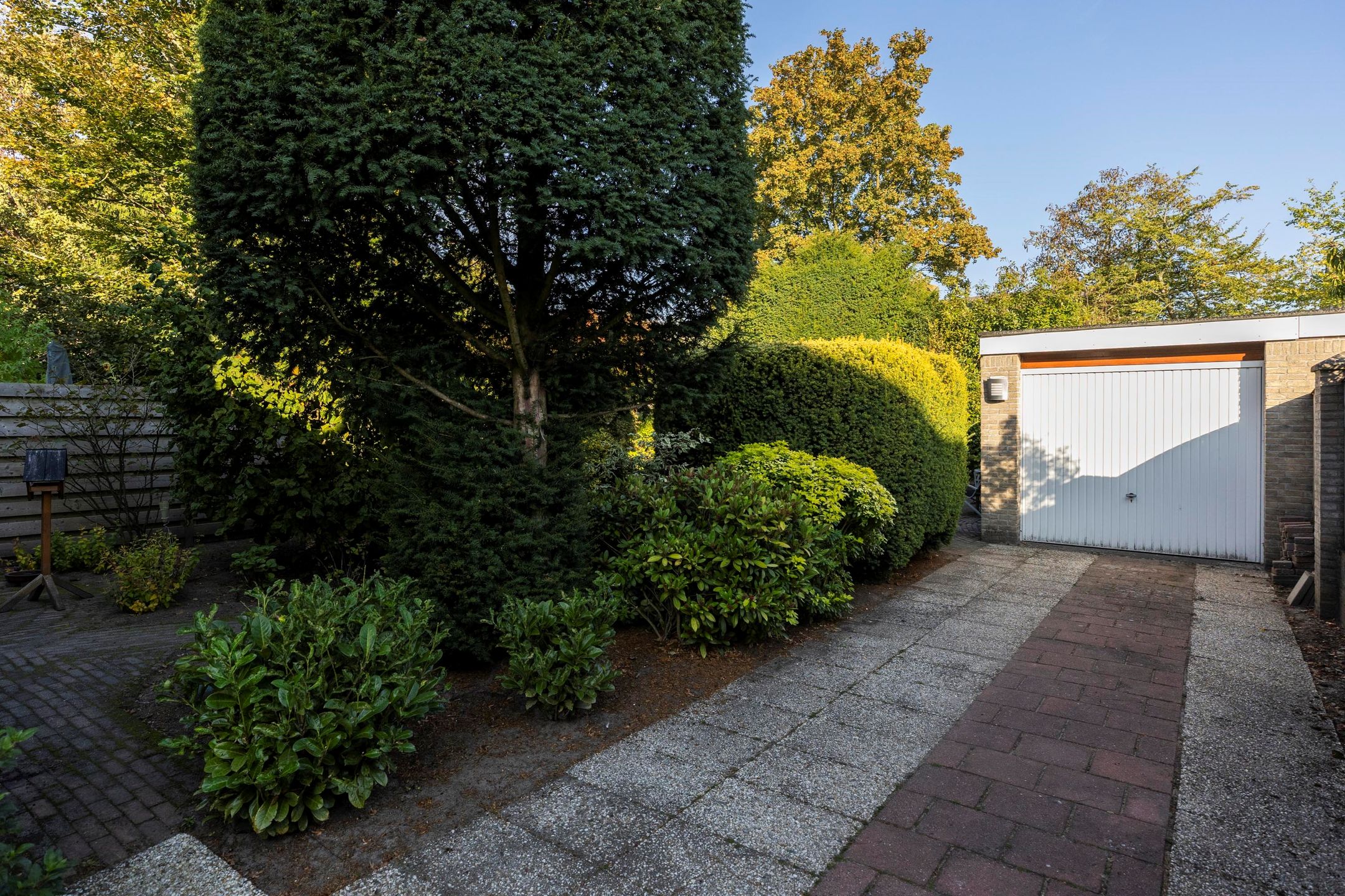 Foto 45 van Scheldelaan 22