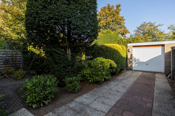 Foto 45 van Scheldelaan 22