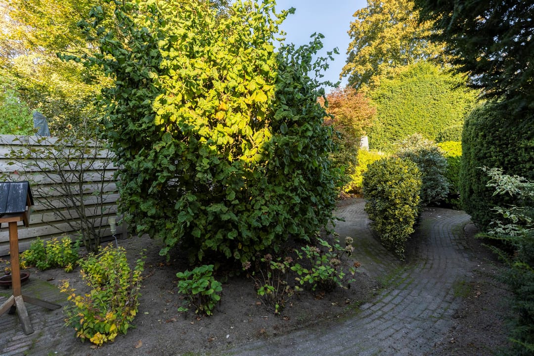 Foto 46 van Scheldelaan 22