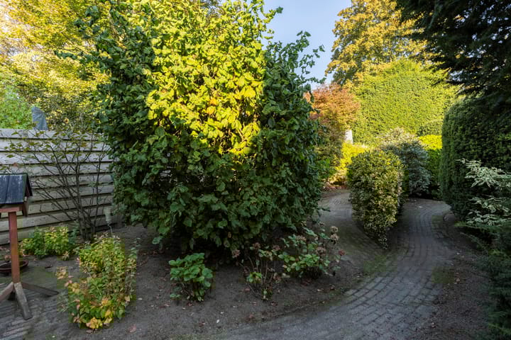 Foto 46 van Scheldelaan 22