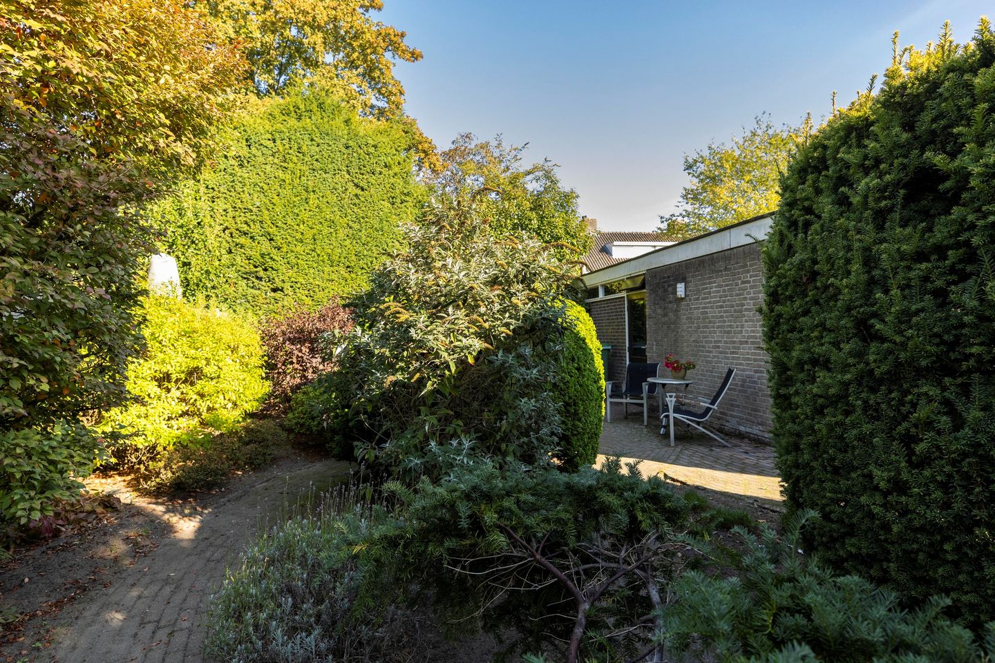 Foto 49 van Scheldelaan 22