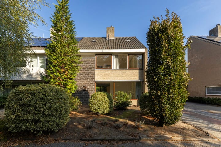 Foto 55 van Scheldelaan 22