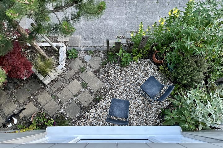 Foto 21 van Korenbloemstraat 50