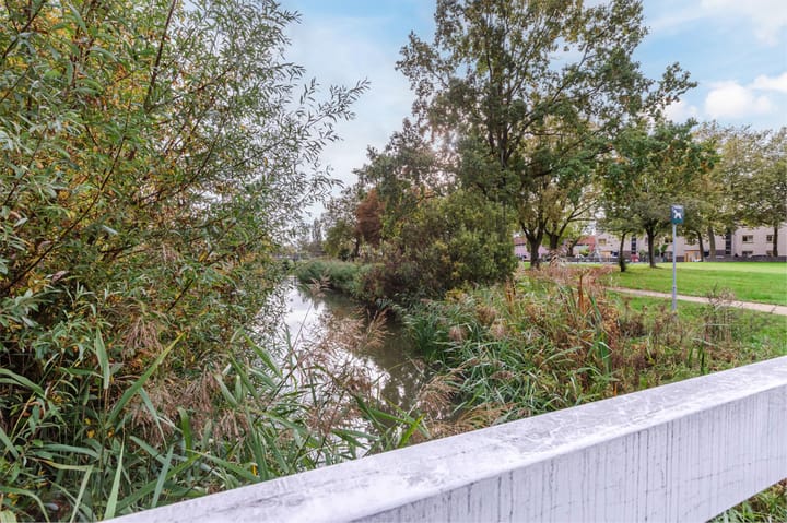 Foto 43 van Korenbloemstraat 50