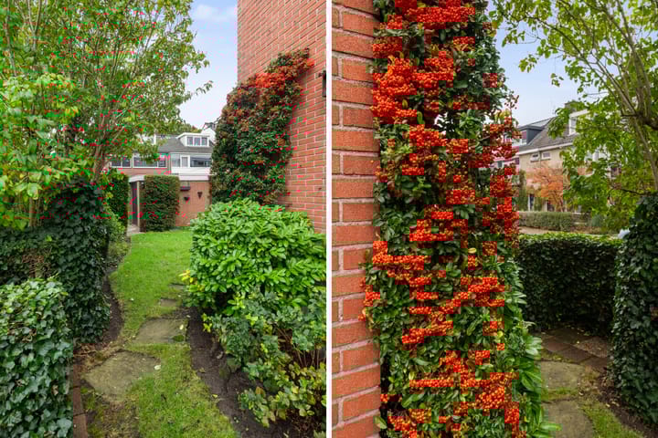 Foto 18 van Marius Bauerstraat 1