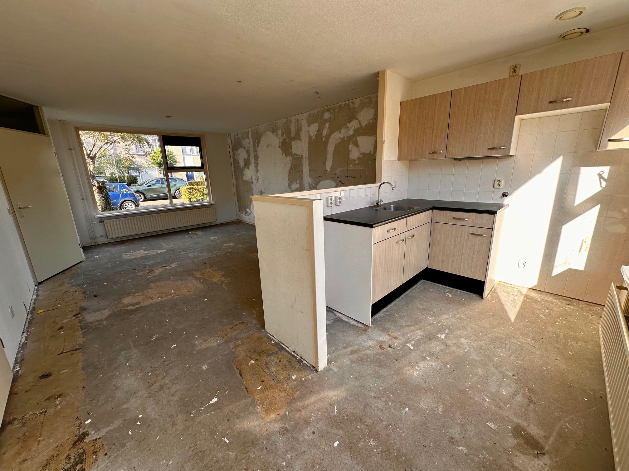 Foto 3 van Citroenvlinder 73