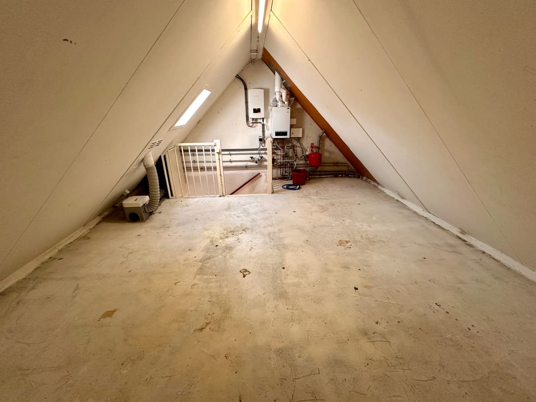 Foto 7 van Citroenvlinder 73