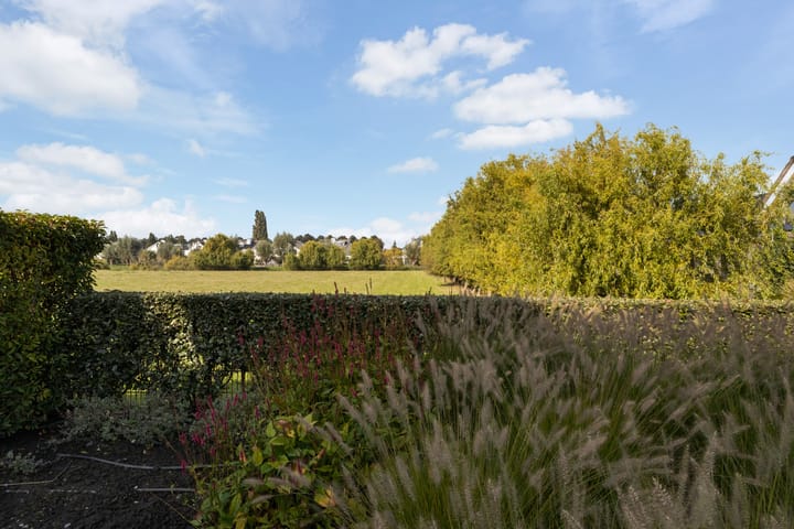 Photo 84 of Achter-Catwijk 17