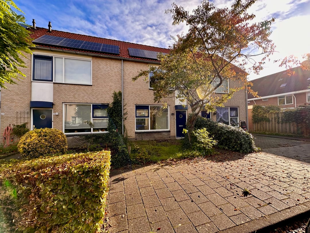 Foto 8 van Citroenvlinder 73