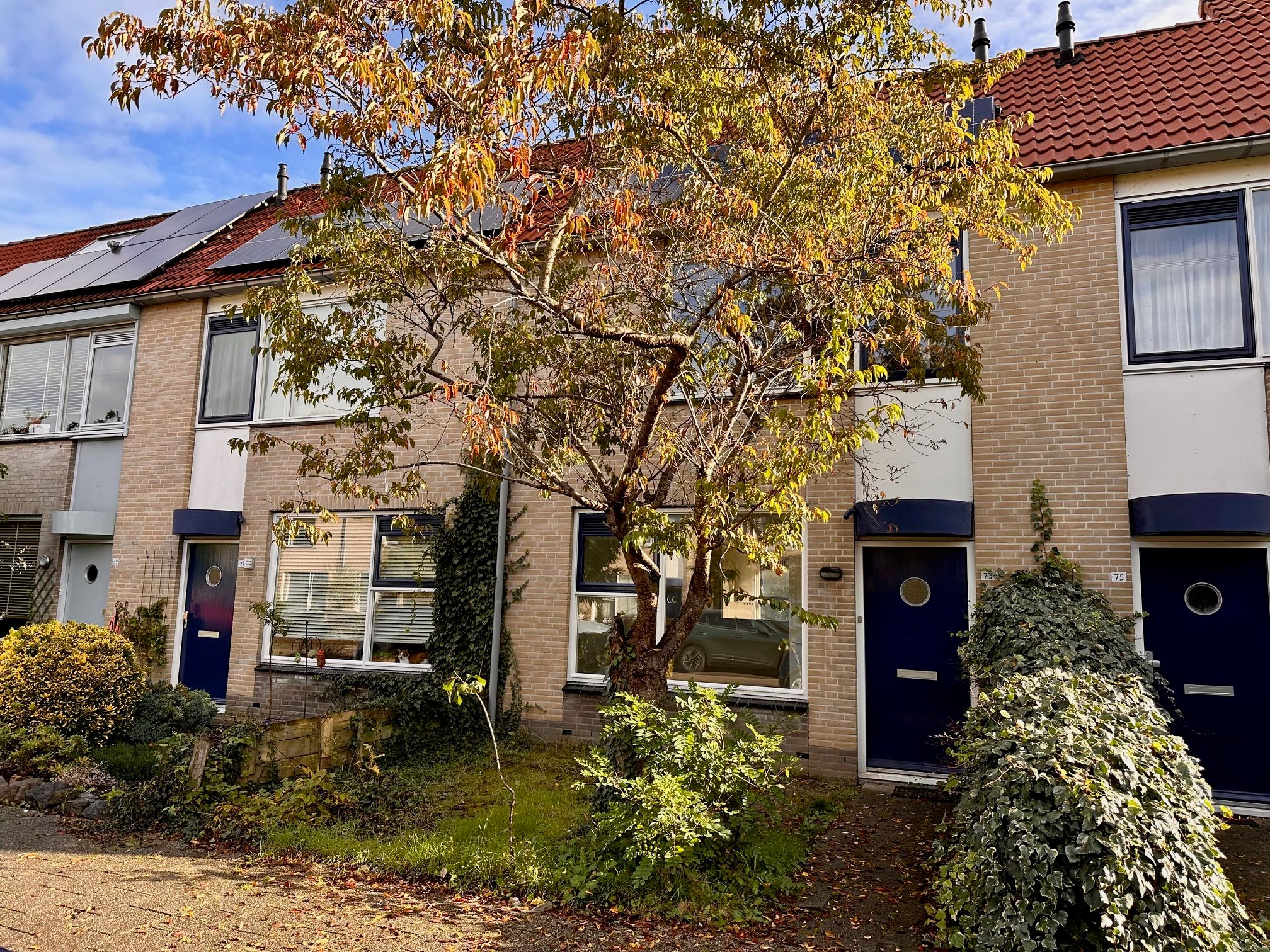 Foto 9 van Citroenvlinder 73