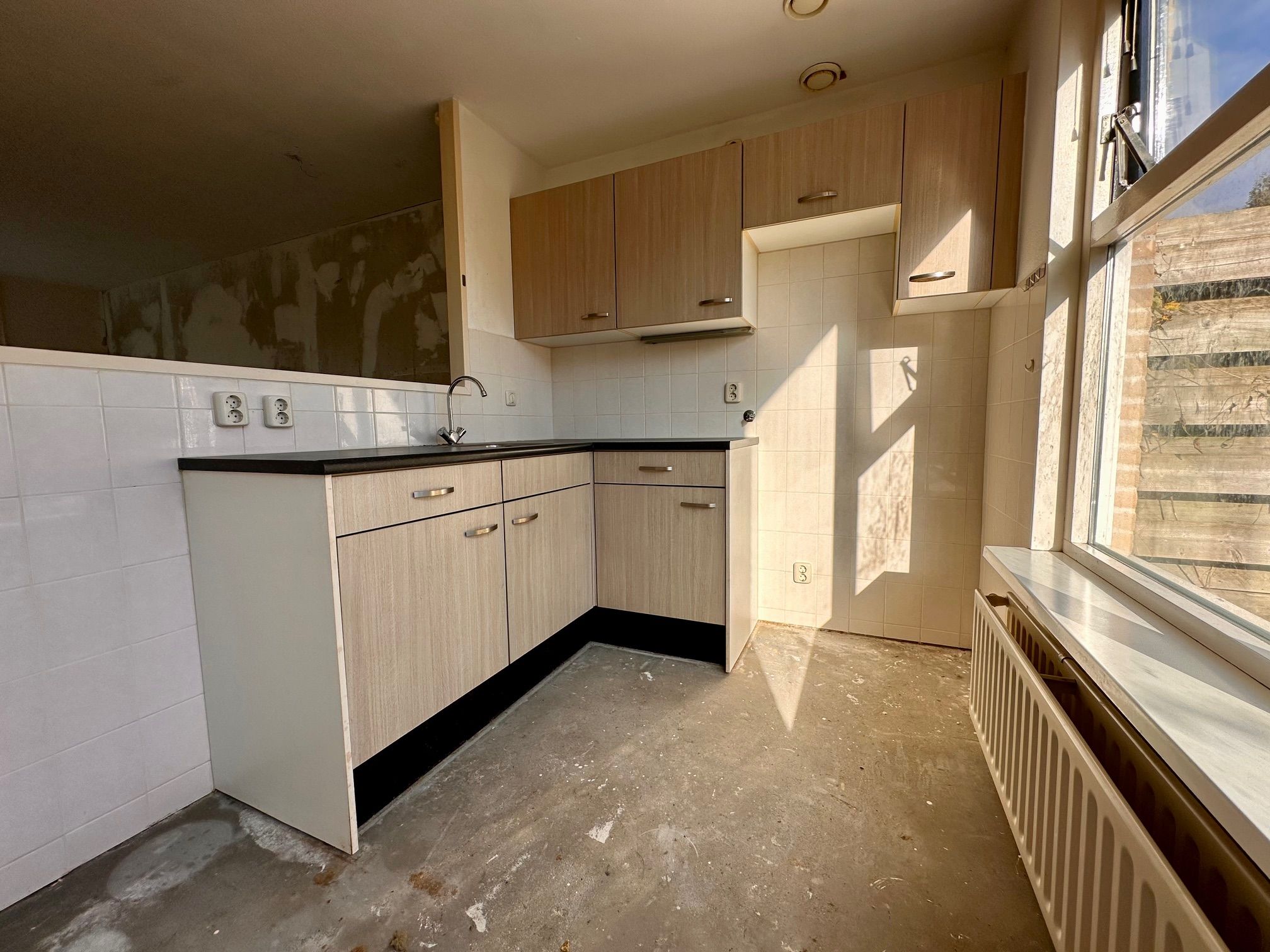 Foto 15 van Citroenvlinder 73