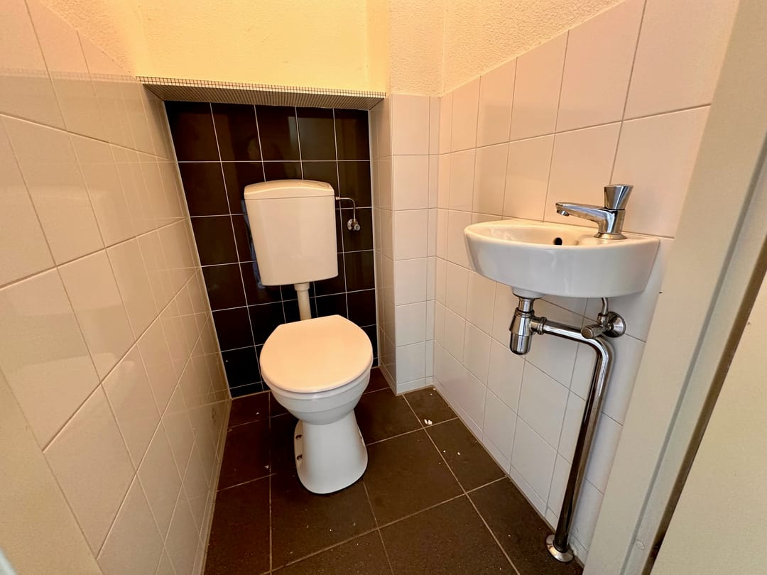 Foto 17 van Citroenvlinder 73