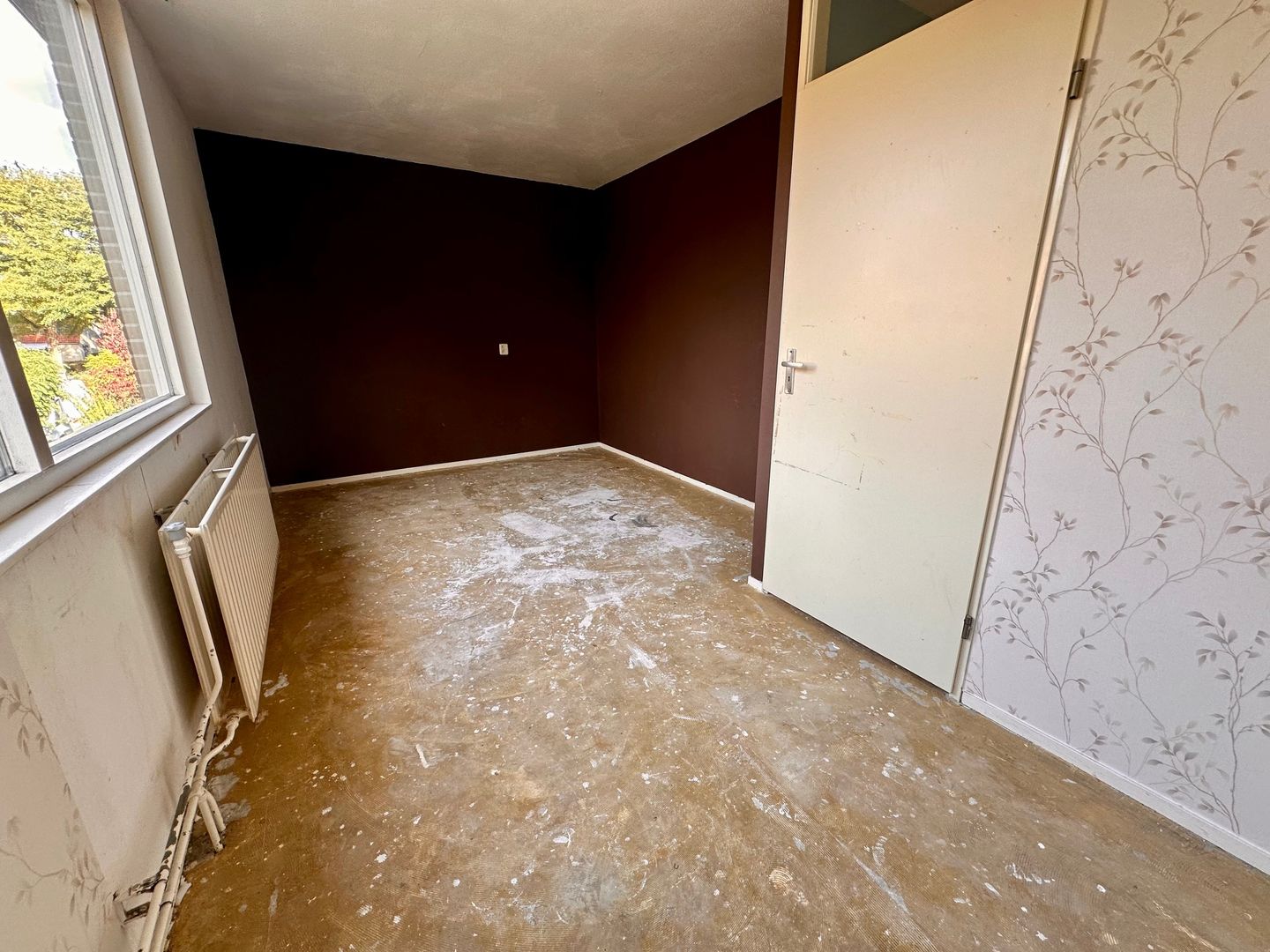 Foto 20 van Citroenvlinder 73