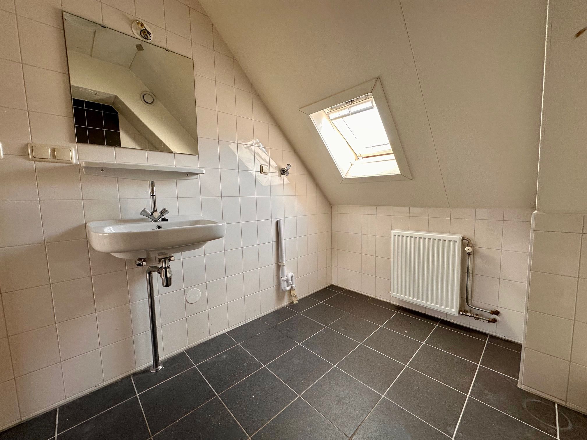 Foto 24 van Citroenvlinder 73