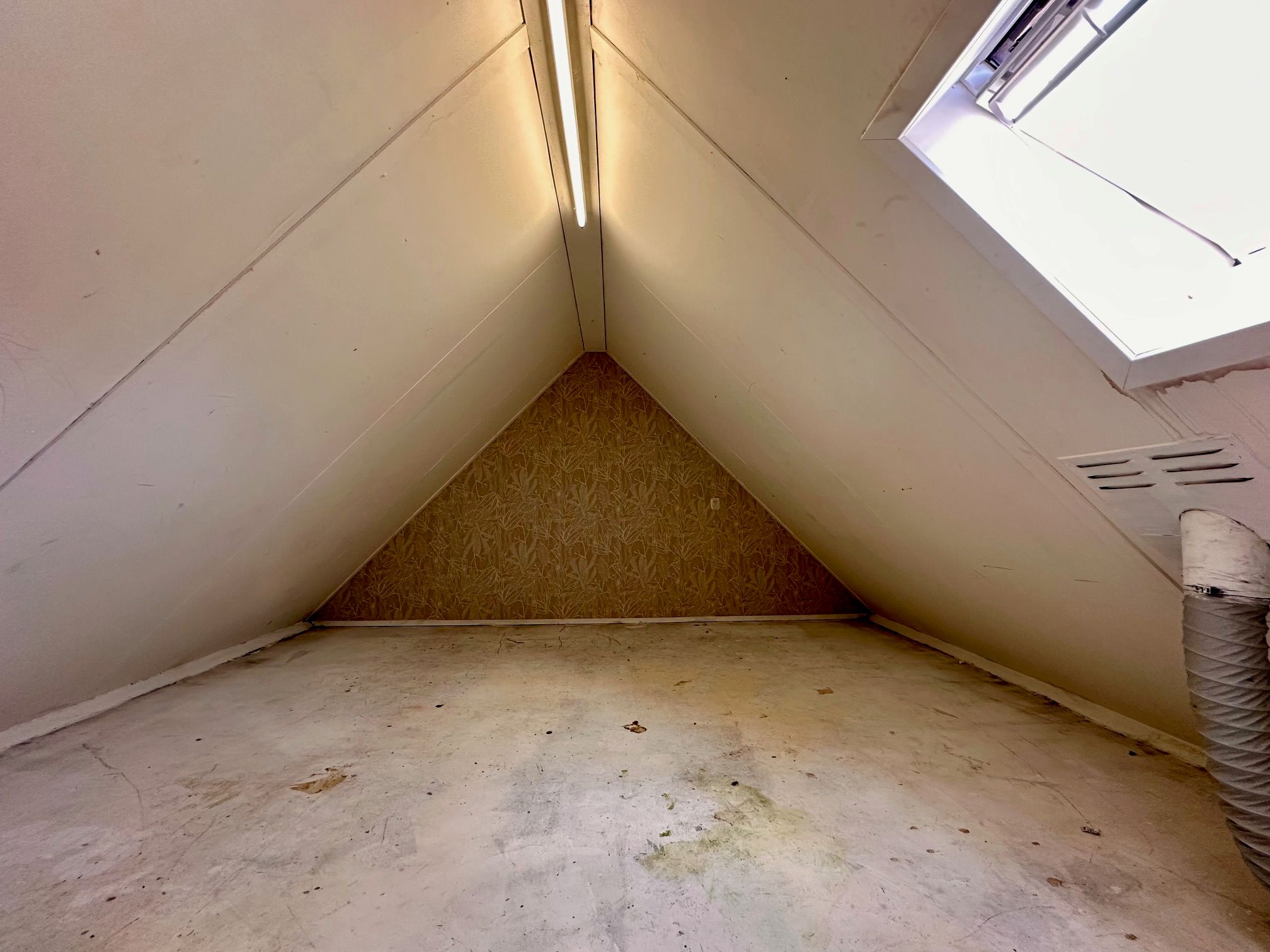 Foto 27 van Citroenvlinder 73