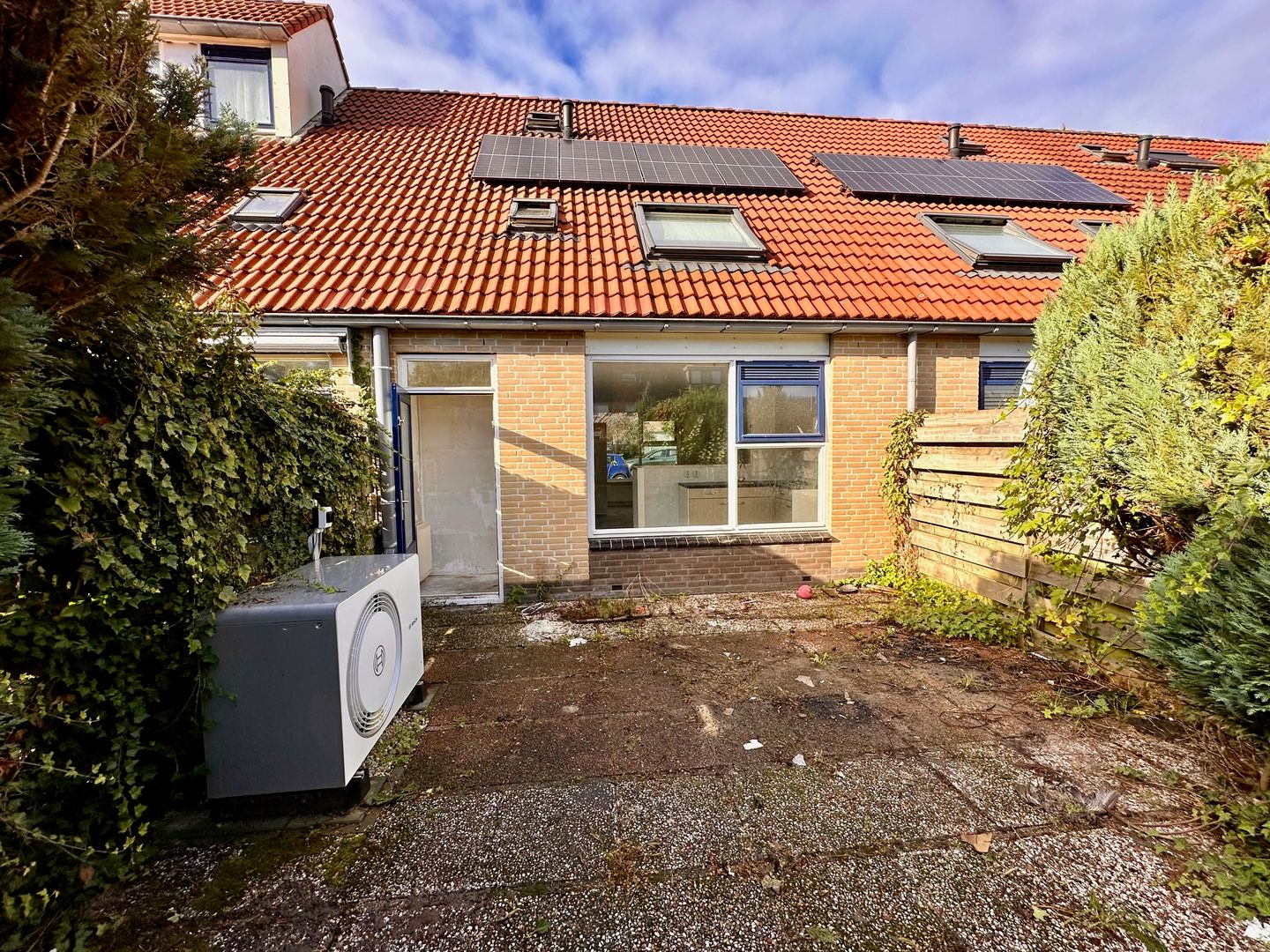 Foto 29 van Citroenvlinder 73