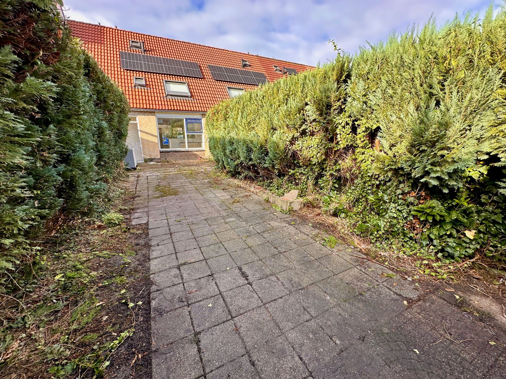 Foto 30 van Citroenvlinder 73