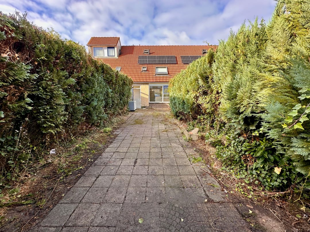 Foto 31 van Citroenvlinder 73