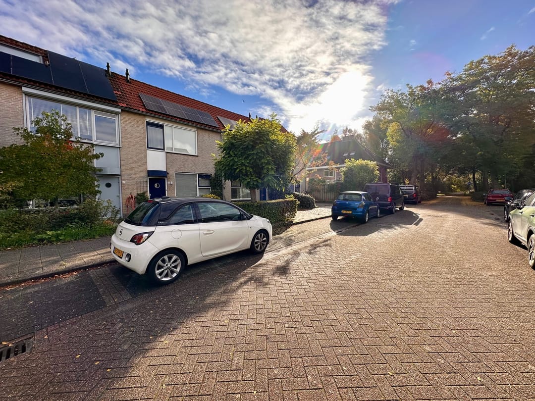 Foto 32 van Citroenvlinder 73