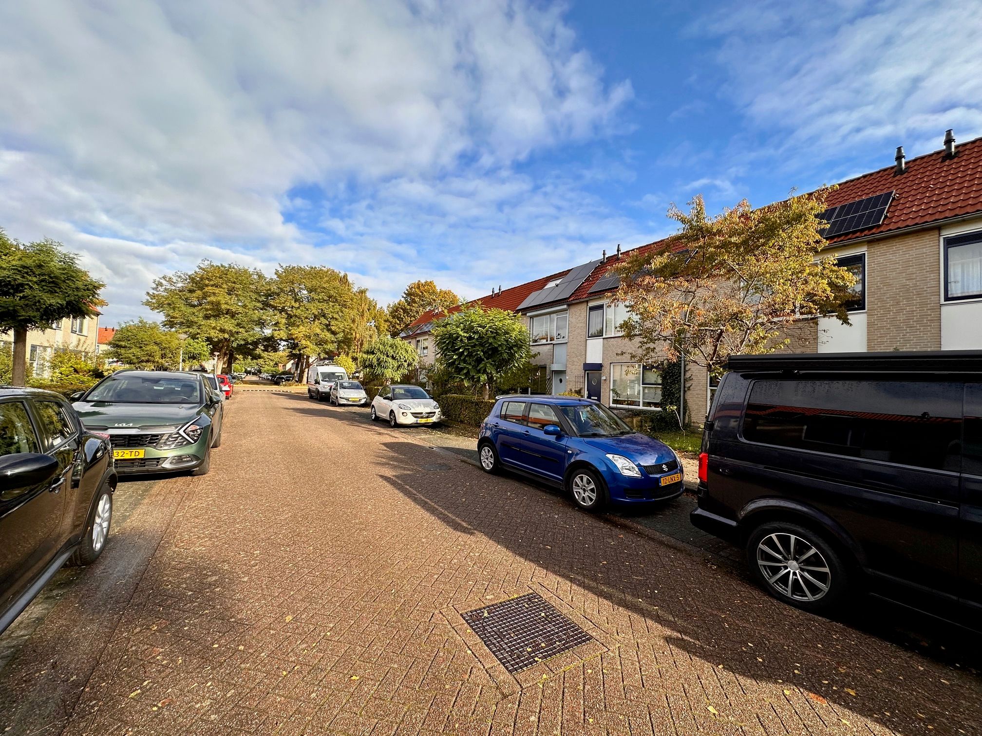 Foto 33 van Citroenvlinder 73