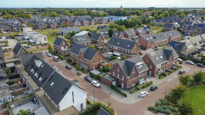 Photo 4 of Koekoeksbloem 6