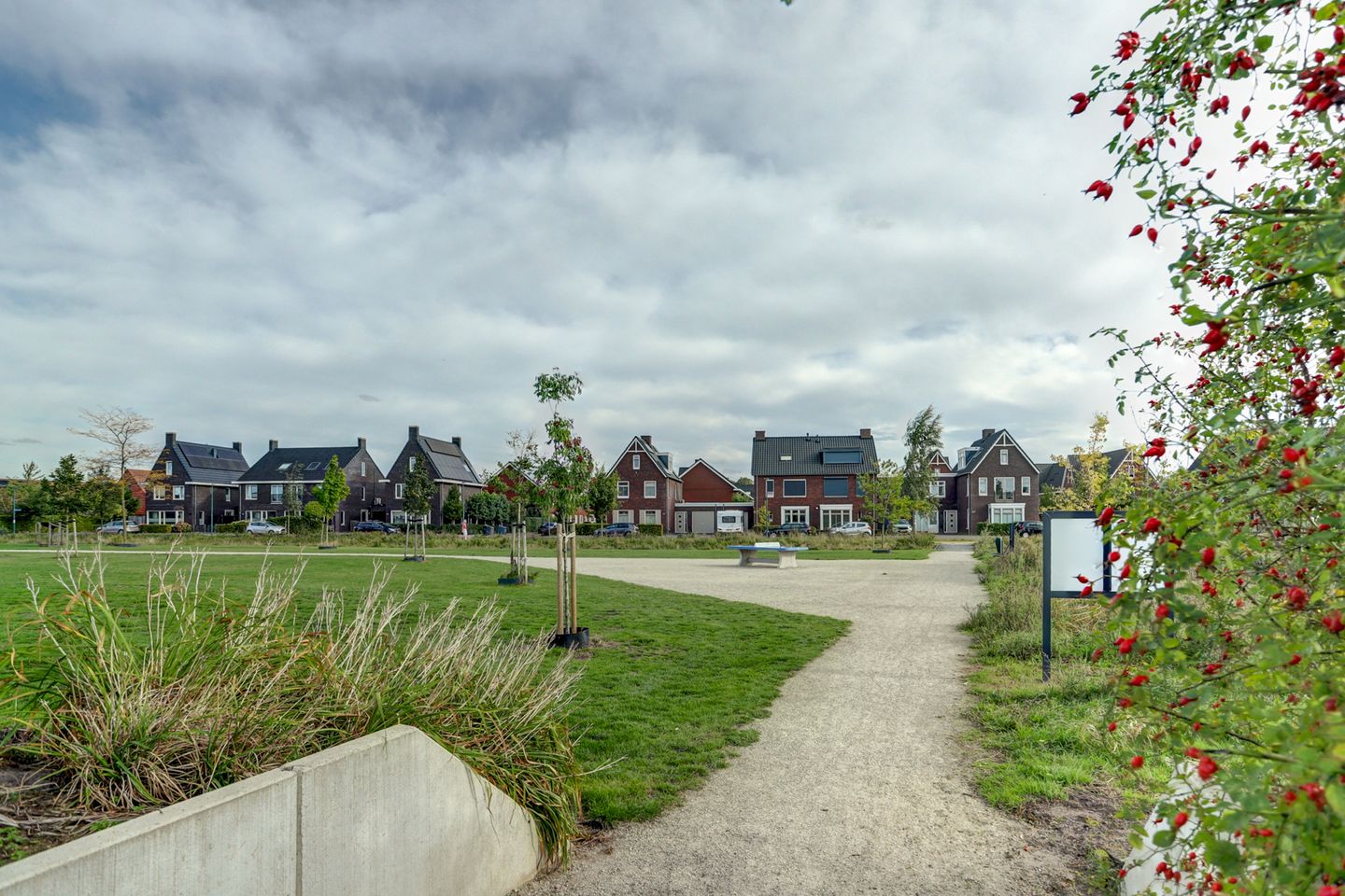 Photo 5 of Koekoeksbloem 6