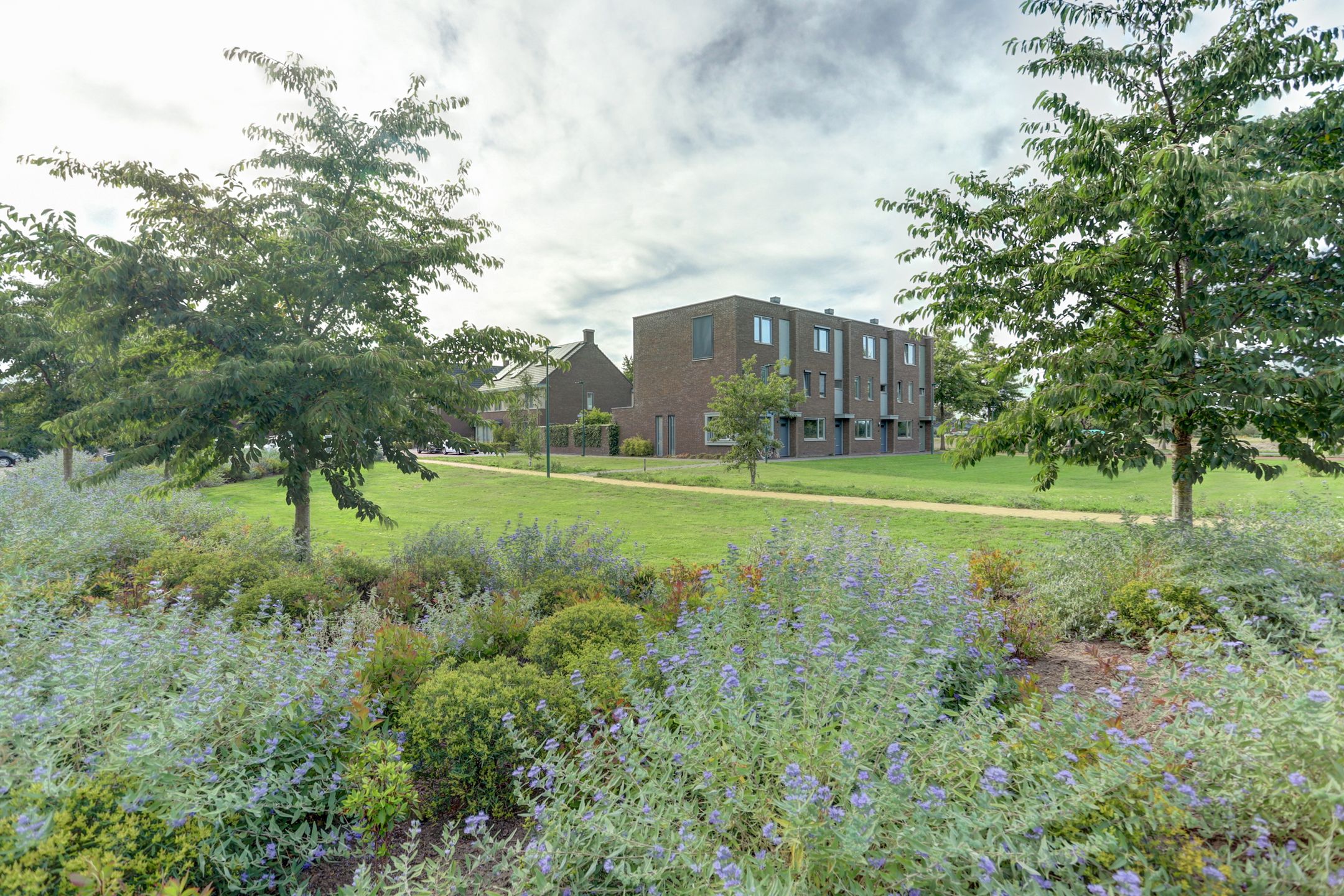 Photo 6 of Koekoeksbloem 6