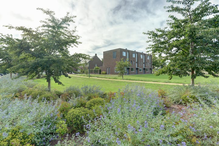 Foto 6 van Koekoeksbloem 6