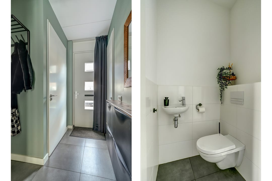 Photo 8 of Koekoeksbloem 6