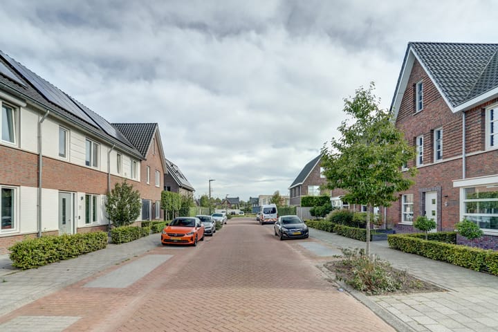 Photo 3 of Koekoeksbloem 6