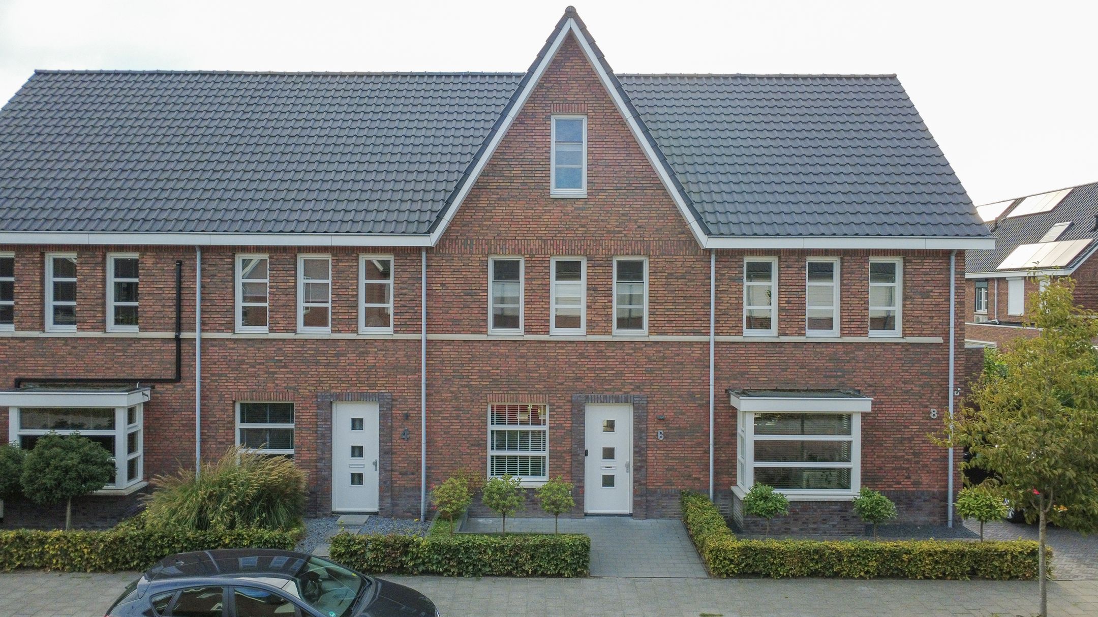 Photo 42 of Koekoeksbloem 6