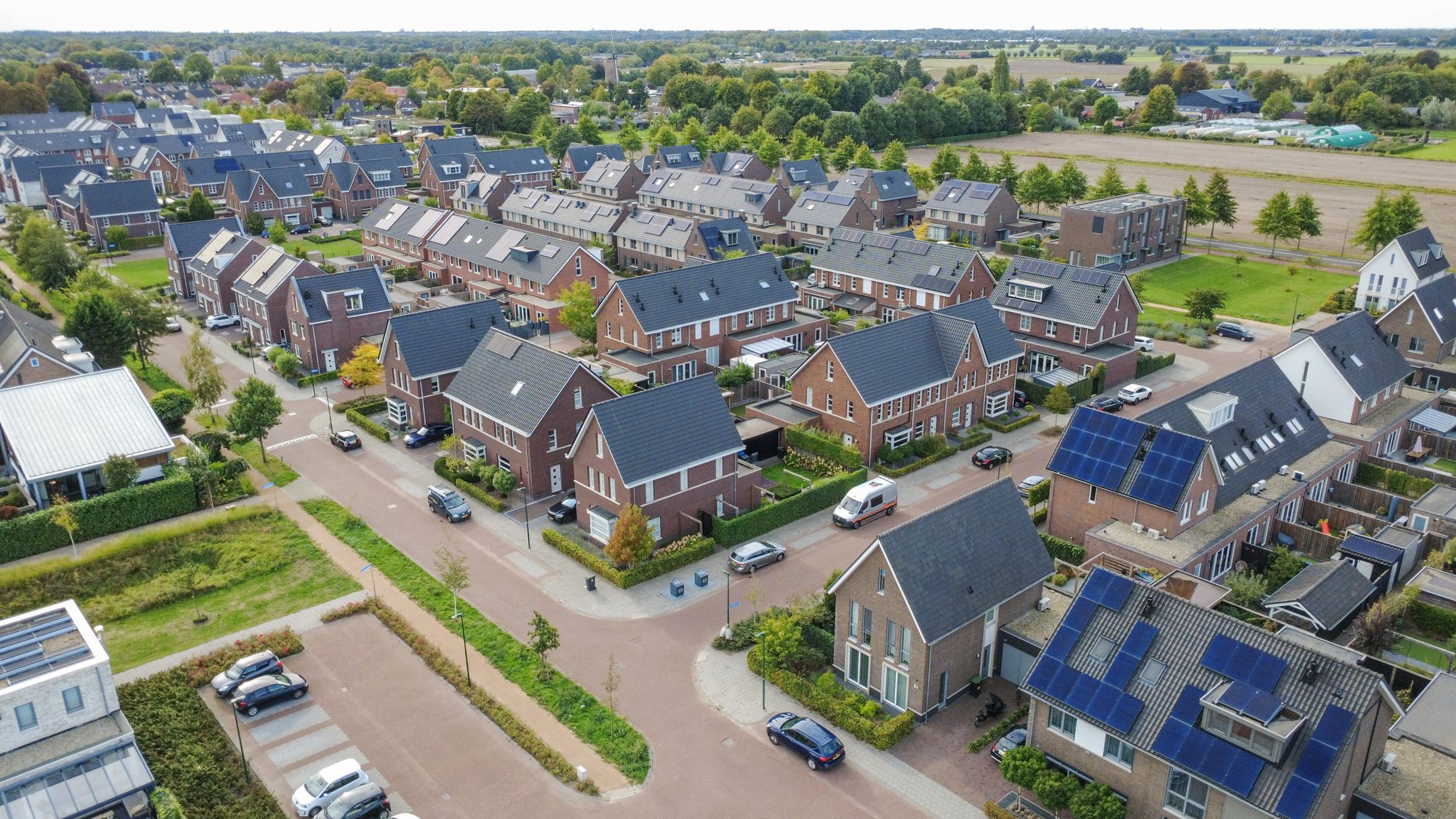 Photo 45 of Koekoeksbloem 6