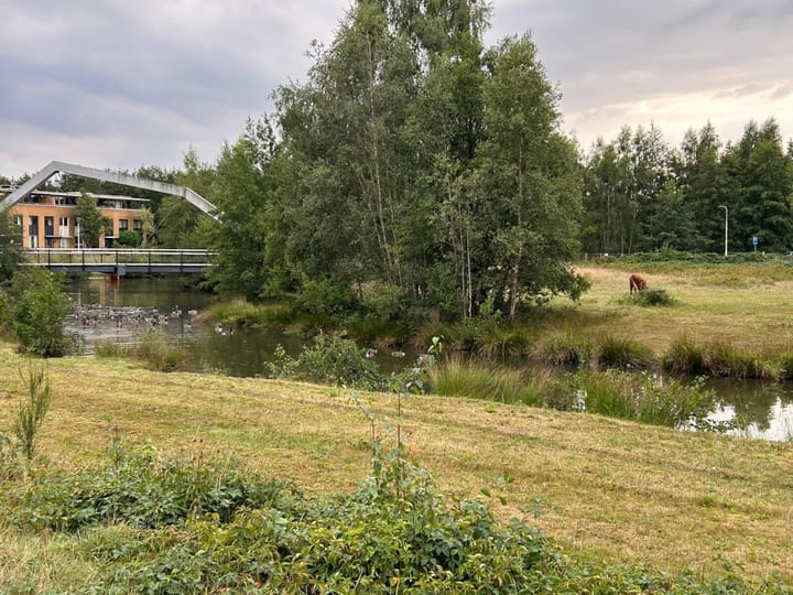 Foto 34 van Oosterbeekstraat 13